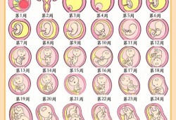 孕期有看A（孕期有看过几次小黄会胎停吗）