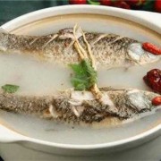 孕期吃鲫鱼有什么好处（孕妇喝鲫鱼汤的功效与作用）