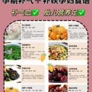 孕期什么时候补铁（孕妇如何补铁？孕妇补铁的食物有哪些）