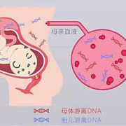 脑瘫在怀孕期间能查出来吗,脑瘫孕期能查出来吗无创DNA