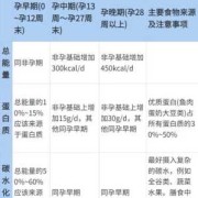 孕期维生素怎么补充,孕期怎么补叶酸最好