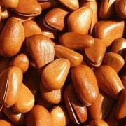 孕期可以吃松子吗（四种坚果孕妇坚决不能吃）
