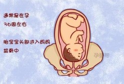怀孕几个月胎儿入盆呢？一般情况什么时候胎儿入盆,孕晚期胎儿入盆是什么感觉和症状
