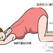 竹鼠摸胎位的正确手法,胎儿踢膀胱是什么胎位图片