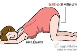 竹鼠摸胎位的正确手法,胎儿踢膀胱是什么胎位图片