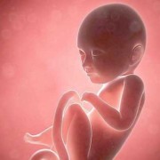 孕18周胎儿在什么位置？18周的胎儿有多大啦,怀孕两个月胎儿位置图片