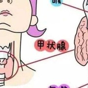轻微甲减对胎儿影响吗（轻微甲减对胎儿影响吗女性）