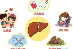 肝病会遗传下一代吗,孕妇丙肝胎儿能不能要孩子