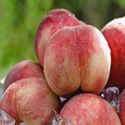 孕期 桃子（孕期桃子可以吃吗?）