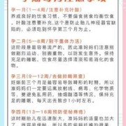 孕期护理（初期怀孕注意事项是有些什么的呀？应该如何护理好）