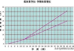 孕期第19周（孕19周，正常体重增加多少）