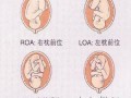 胎儿颈部见w型压迹怎么办好呢,胎儿颈部可见w型压迹什么意思,并见彩色血流信号环绕