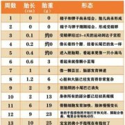 胎儿 正常体重（胎儿正常体重范围是多少）
