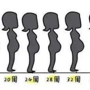 胎儿肚子大（胎儿肚子大怎么回事）