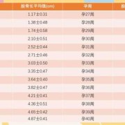 27周胎儿肱骨长标准值，达到多少正常呢,孕27周胎儿发育标准值表