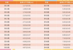 27周胎儿肱骨长标准值，达到多少正常呢,孕27周胎儿发育标准值表