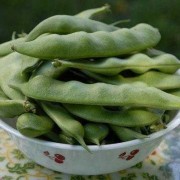 孕期梦到豆（孕期梦到豆角是男是女）