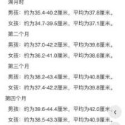 35周胎儿头围（35周胎儿头围标准）