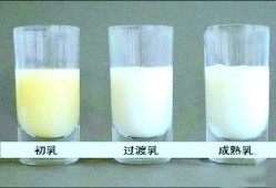孕期有乳汁（孕期有乳汁正常吗）