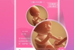 孕妇孕期软件（孕期 软件）