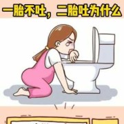 孕期不吐（孕期不吐是男孩还是女孩）