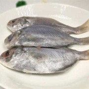 孕期吃鱼有什么好处（孕妇能吃鲳鱼吗）