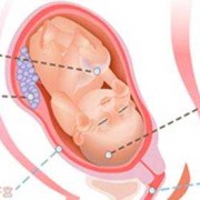 胎儿一般几个月入盆（胎儿一般几个月入盆正常）