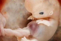 吵架对胎儿的影响（10个月宝宝经常吵他有啥影响嘛）