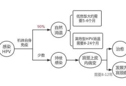 孕妇得了支原体感染应该怎么办,孕期感染hpv会传染给胎儿吗