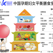 孕期妇女膳食指南（孕期妇女膳食指南）