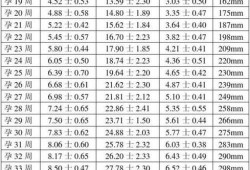 23周胎儿sd值正常范围,23周的胎儿有多重正常