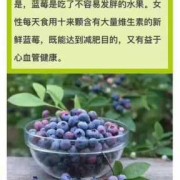 蓝莓对胎儿的好处（蓝莓对胎儿的好处有哪些）