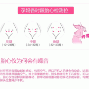 胎儿心率仪（胎儿心率仪怎么用）