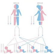 胎儿脊柱是遗传吗（胎儿脊柱是遗传吗）