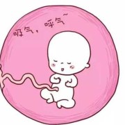 胎儿需要呼吸吗（胎儿需要呼吸吗为什么）