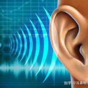 儿童的耳朵能承受多大的声音,多大的声音会影响胎儿听力