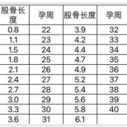 孕31周胎儿发育标准吗,31周胎儿体重正常范围是多少