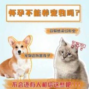 孕期能养宠物吗（孕期能养宠物吗）