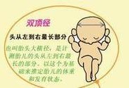 胎儿双顶径小（怀孕8个月多，检查双顶径有些小，孕晚期吃什么长胎儿双顶径）