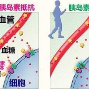 胰岛素对胎儿有影响吗（胰岛素对胎儿有影响吗）