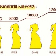 孕期需要多少钙（孕期需要多少钙量）