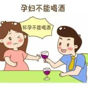 女性备孕期间喝酒的危害有哪些,备孕期间女方喝酒了怎么办