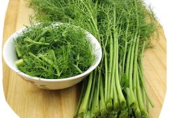 孕期可以吃茴香菜吗（孕期可以吃茴香菜吗）