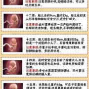 孕周40周胎儿发育标准是多少？孕晚期多吃什么对胎儿有好处,怀孕40周胎儿图片真人