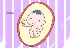 胎儿胎动抖动怎么回事（胎儿胎动像颤抖正常吗）