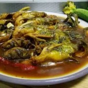 孕妇吃嘎鱼对胎儿好吗（孕妇吃嘎鱼对胎儿好吗有影响吗）