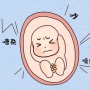 孕期影响（噪音对胎儿有多大的影响）