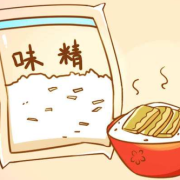 初期怀孕的孕妇可以吃味精的吗,孕期可以吃味精吗?
