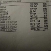 单纯疱疹病毒1型igg抗体hsv-igg阳性对胎儿影响吗,单纯疱疹对胎儿的影响大吗
