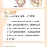 胎儿35周发育标准尺寸是多少,31周的胎儿能存活吗?